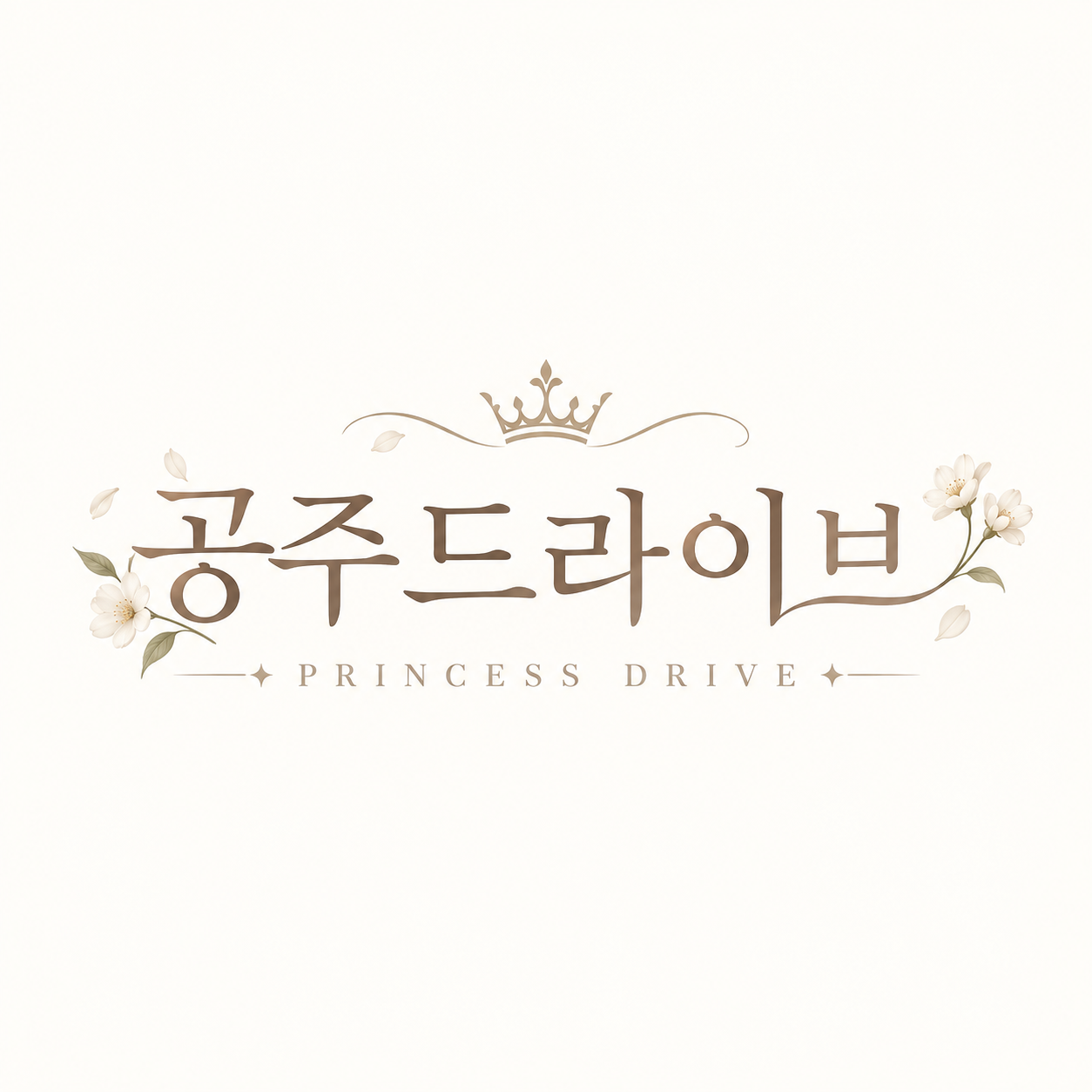 공주드라이브 방문운전연수